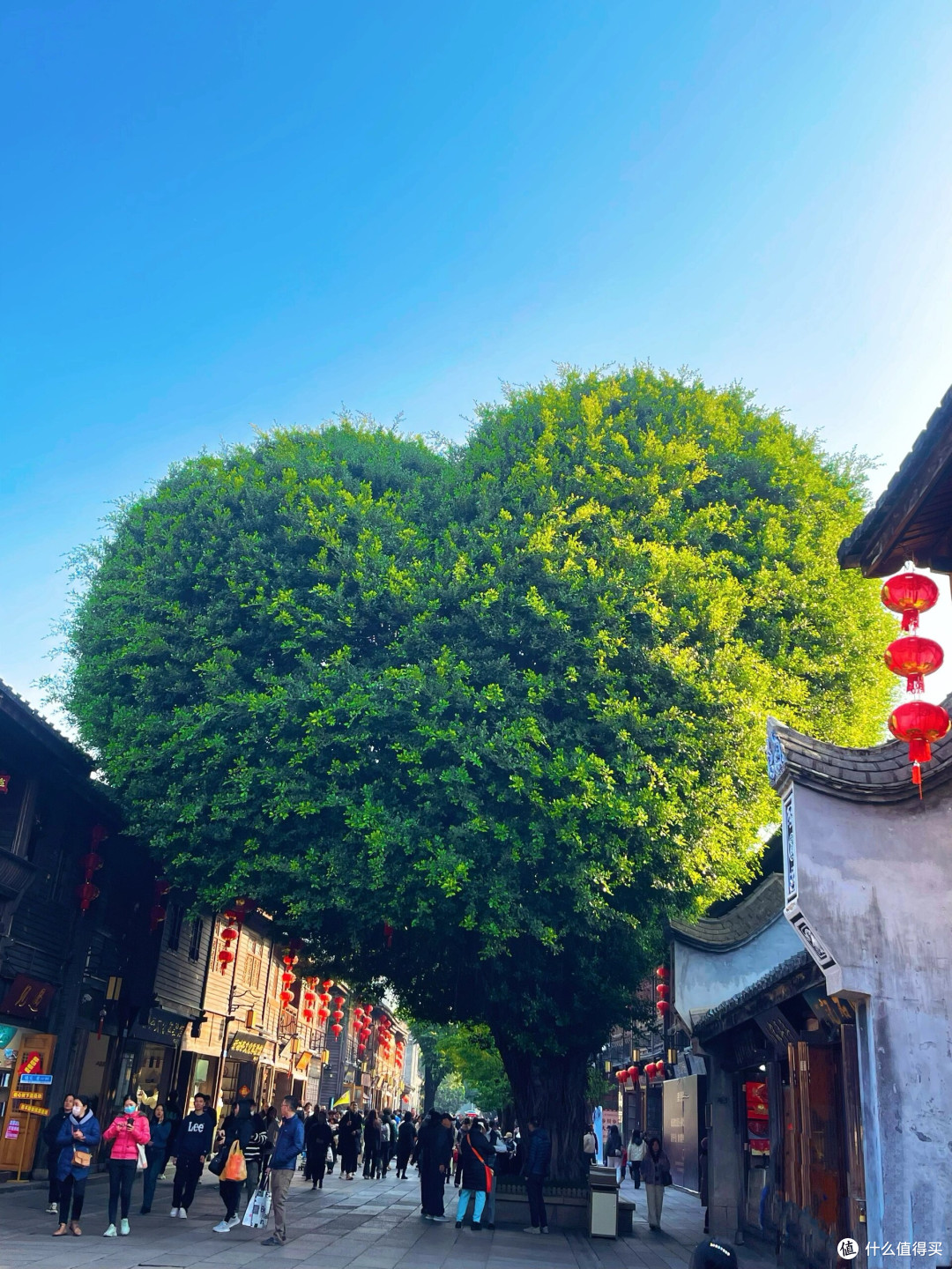 北京出发火车赴福州,赏山水盛景,品闽味鲜香