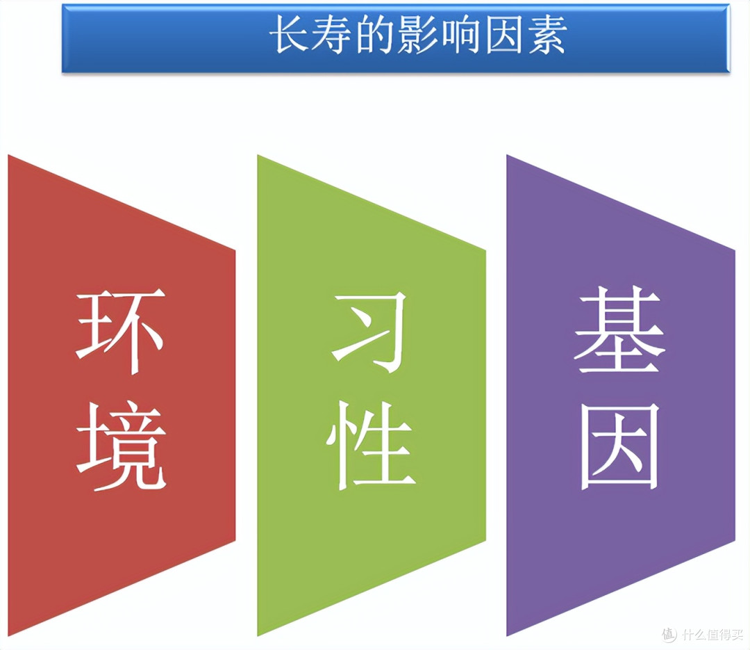 长寿之乡科普,长寿背后有什么秘密?