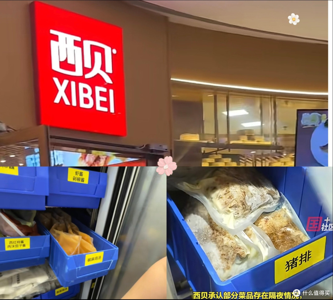 西贝的成功之道与未来展望