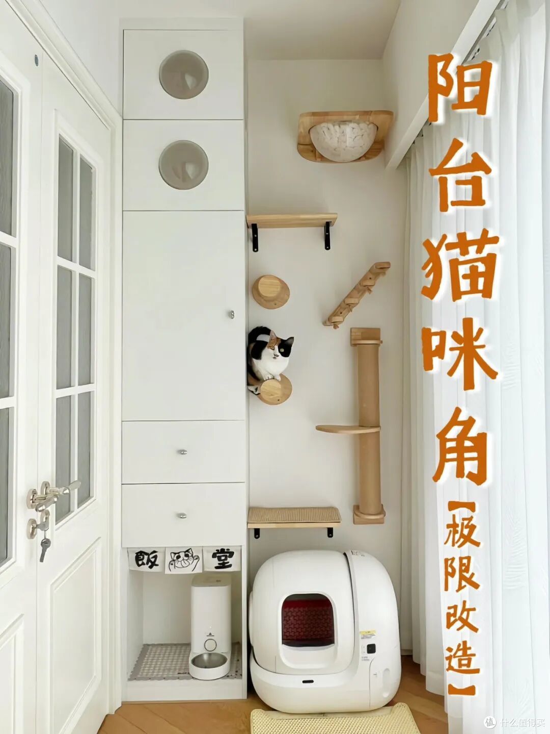 看完网友的“专区设计”,原来这么香!怎么现在才说?