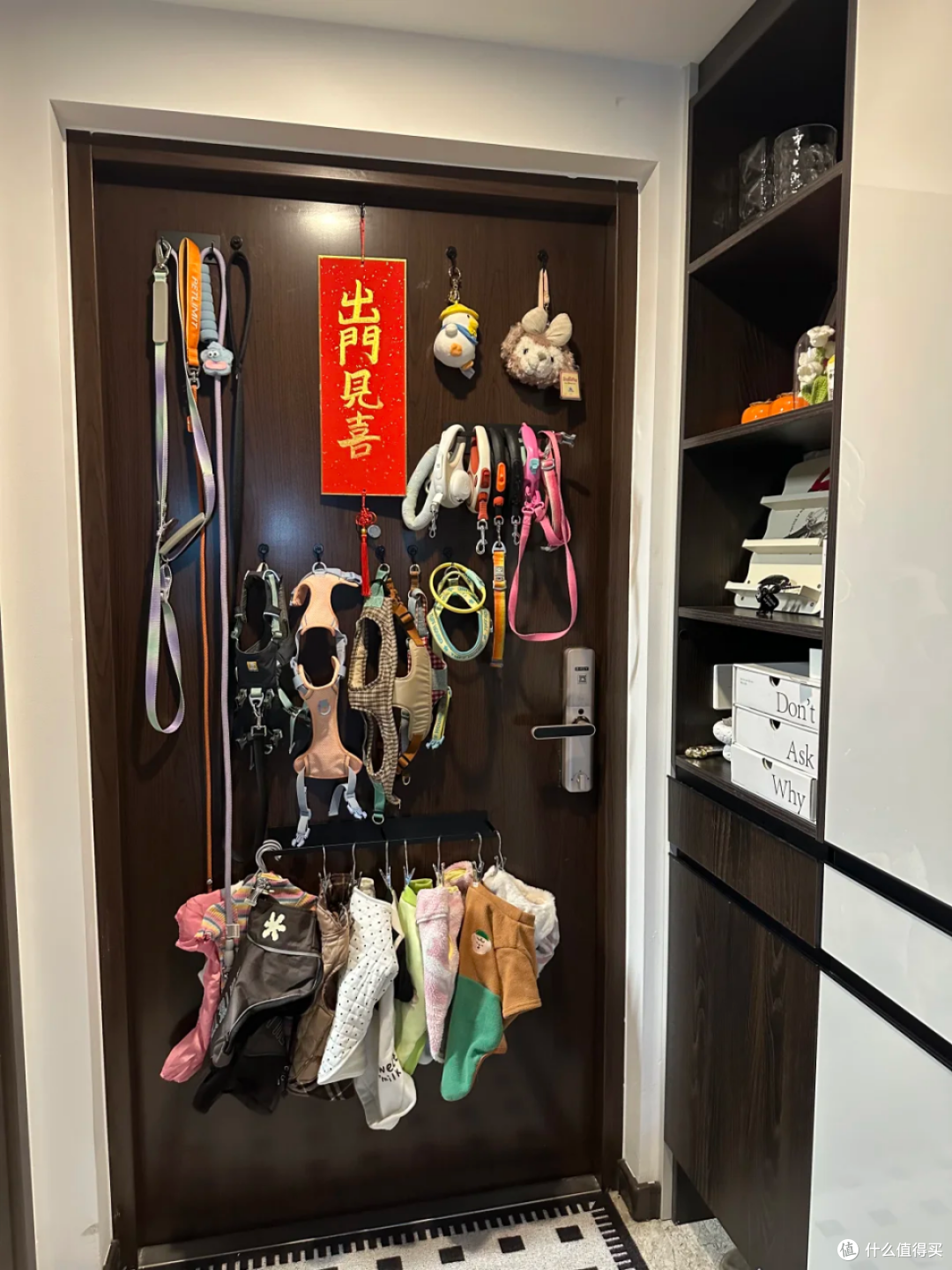 看完网友的“专区设计”,原来这么香!怎么现在才说?