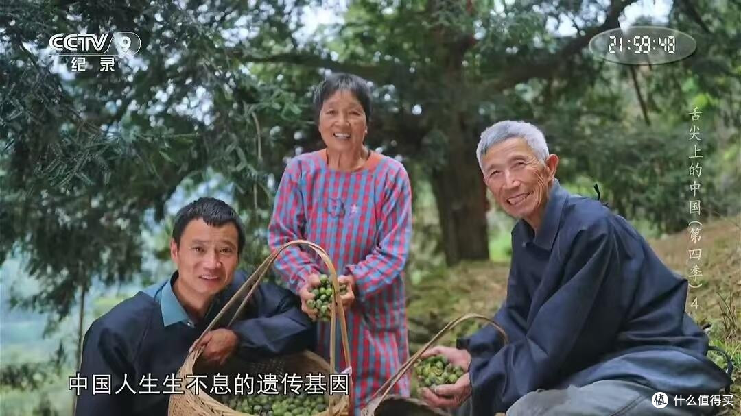 《舌尖上的中国》:美食与生活的共鸣