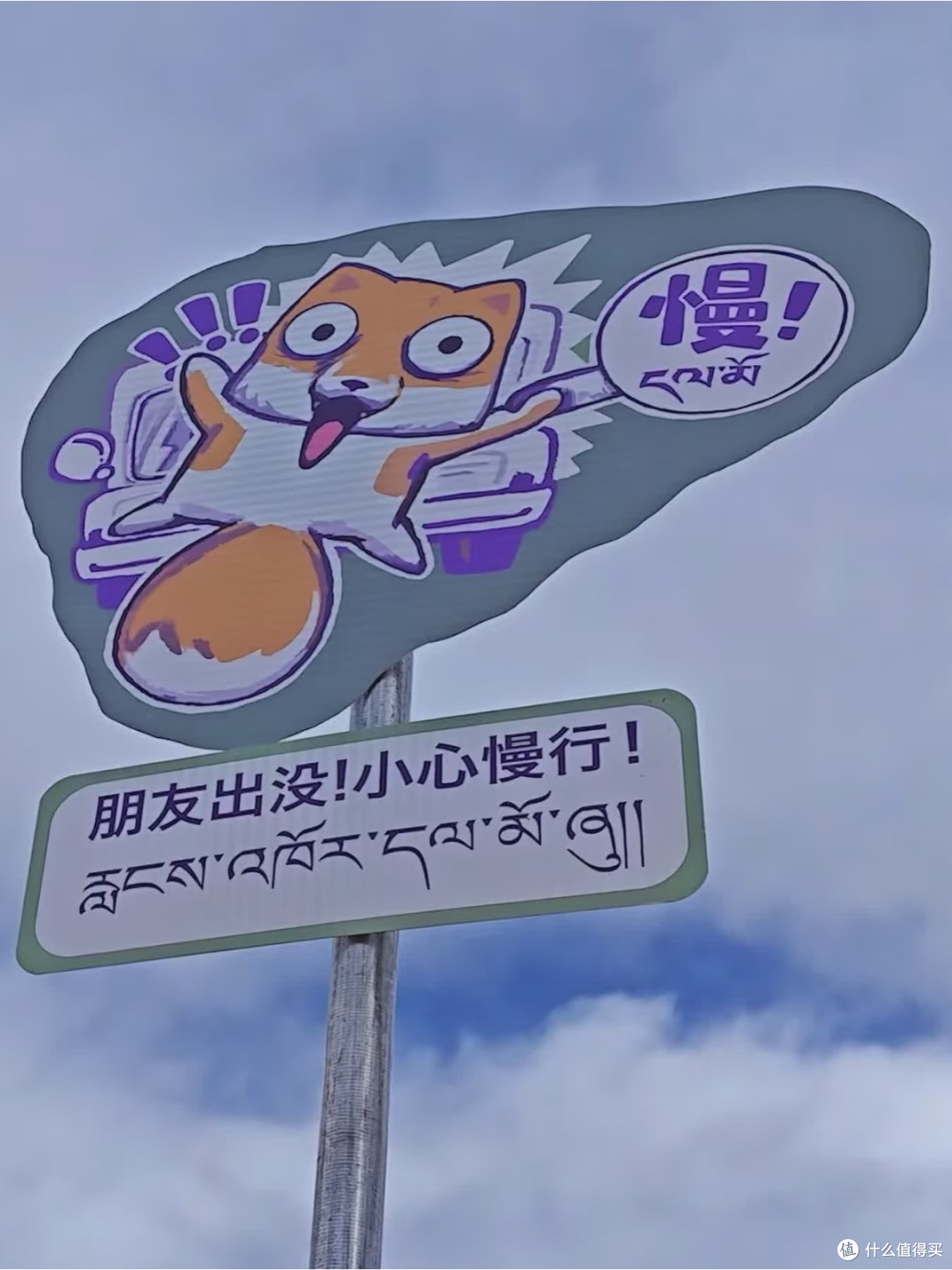 追《一路前行2》:跟着胡歌和狐主任,草原“藏狐的温柔”