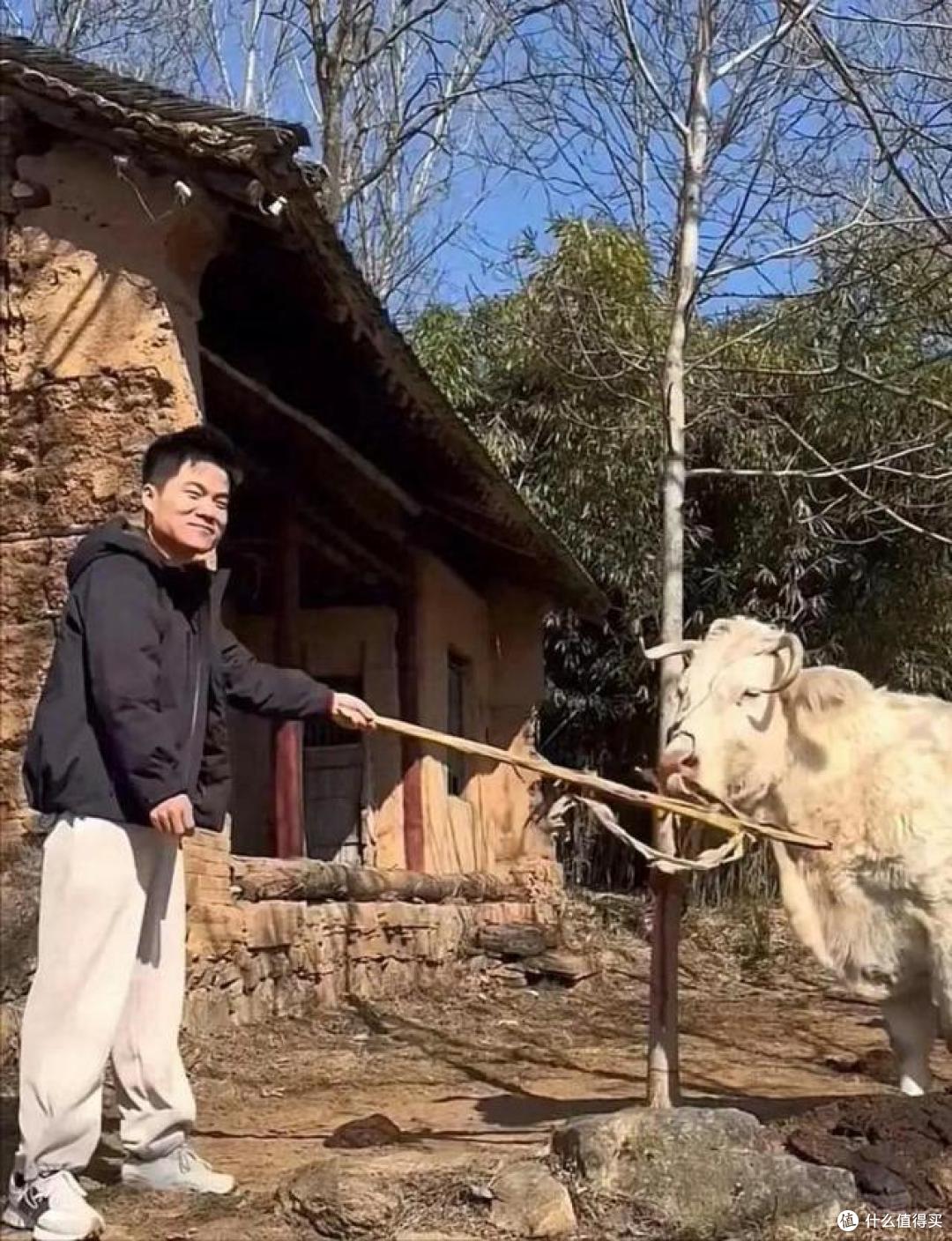 董宇辉的“豪宅” 火了，从直播间到田园生活，他的诗意人生绝了