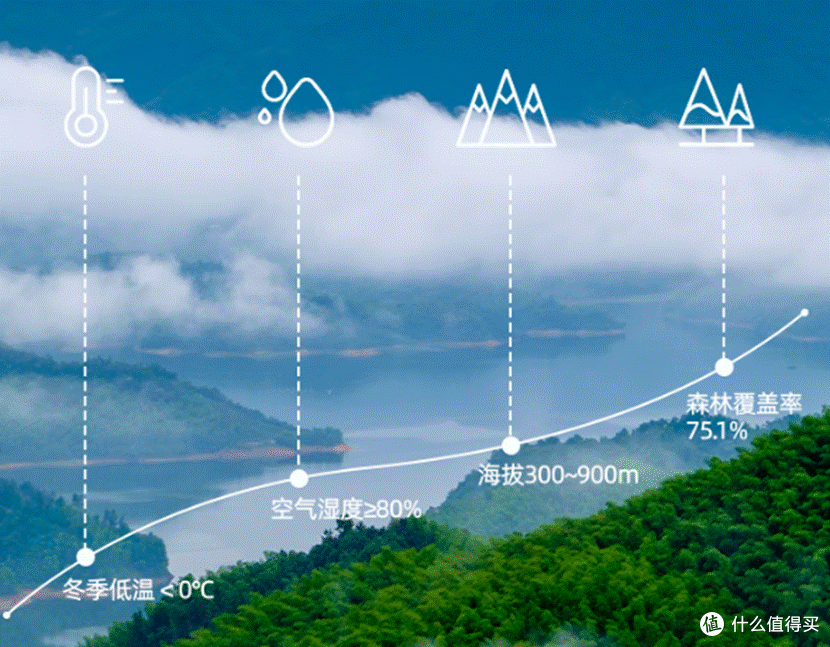 霍山3
