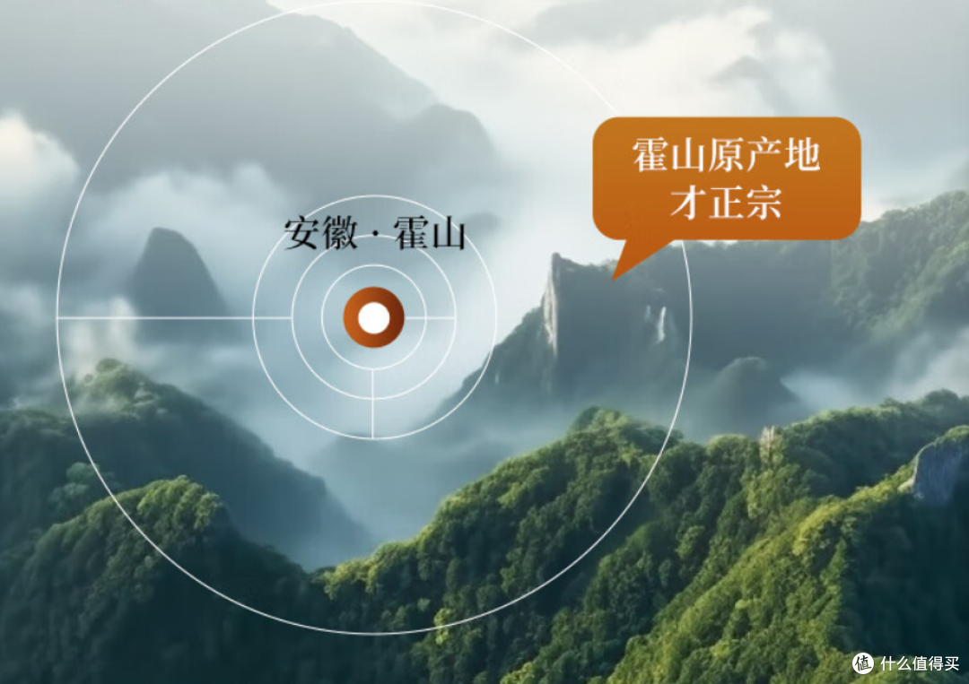 霍山石斛十大正宗品牌最新测评:多糖含量精准对比,权威测评认证