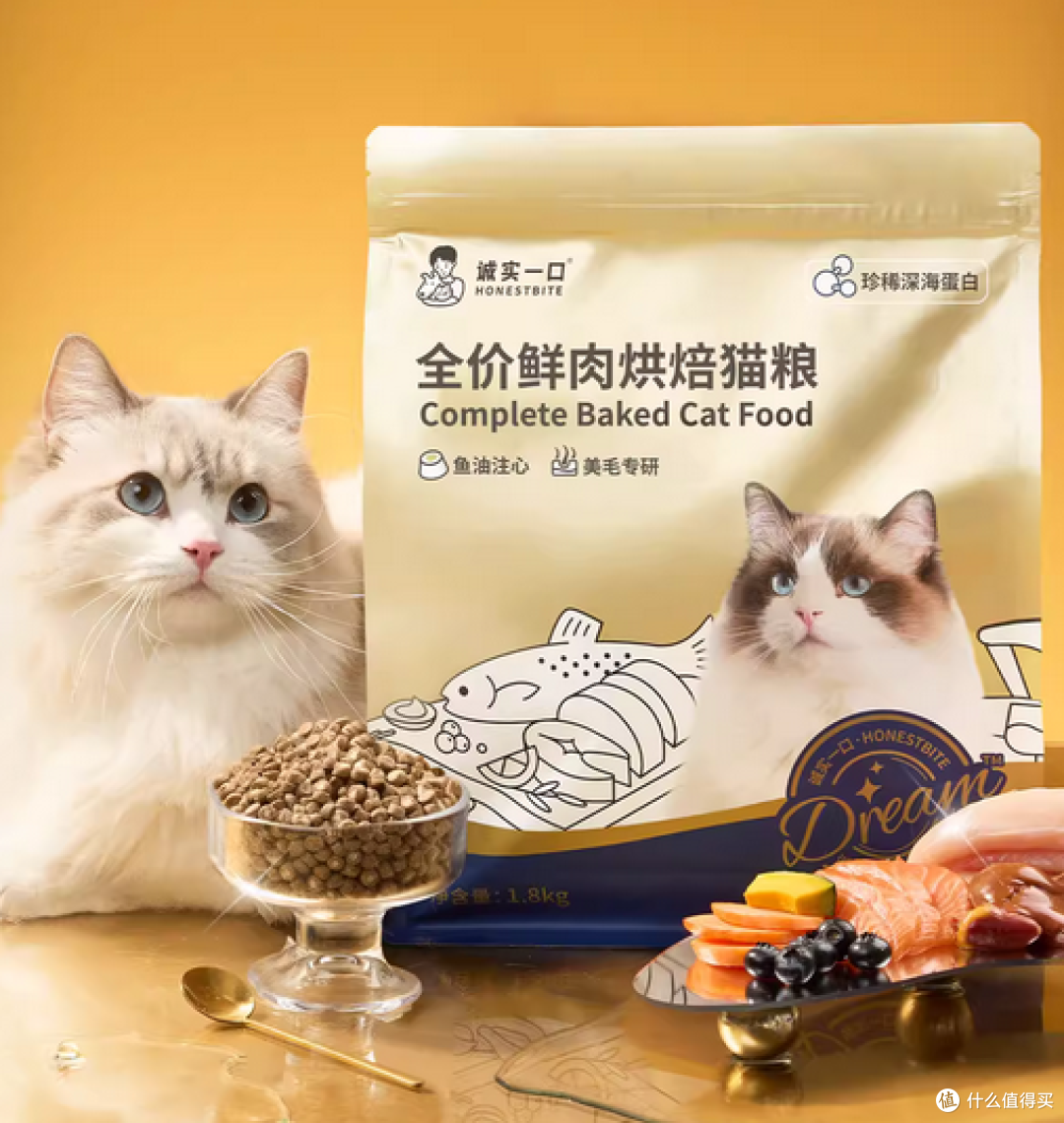2026年哪一些猫粮值得推荐