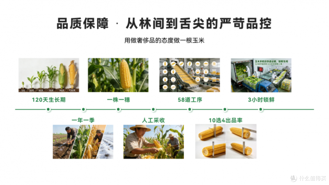 权威双认证+黄金农产带，森林友机铸就有机品质新高度