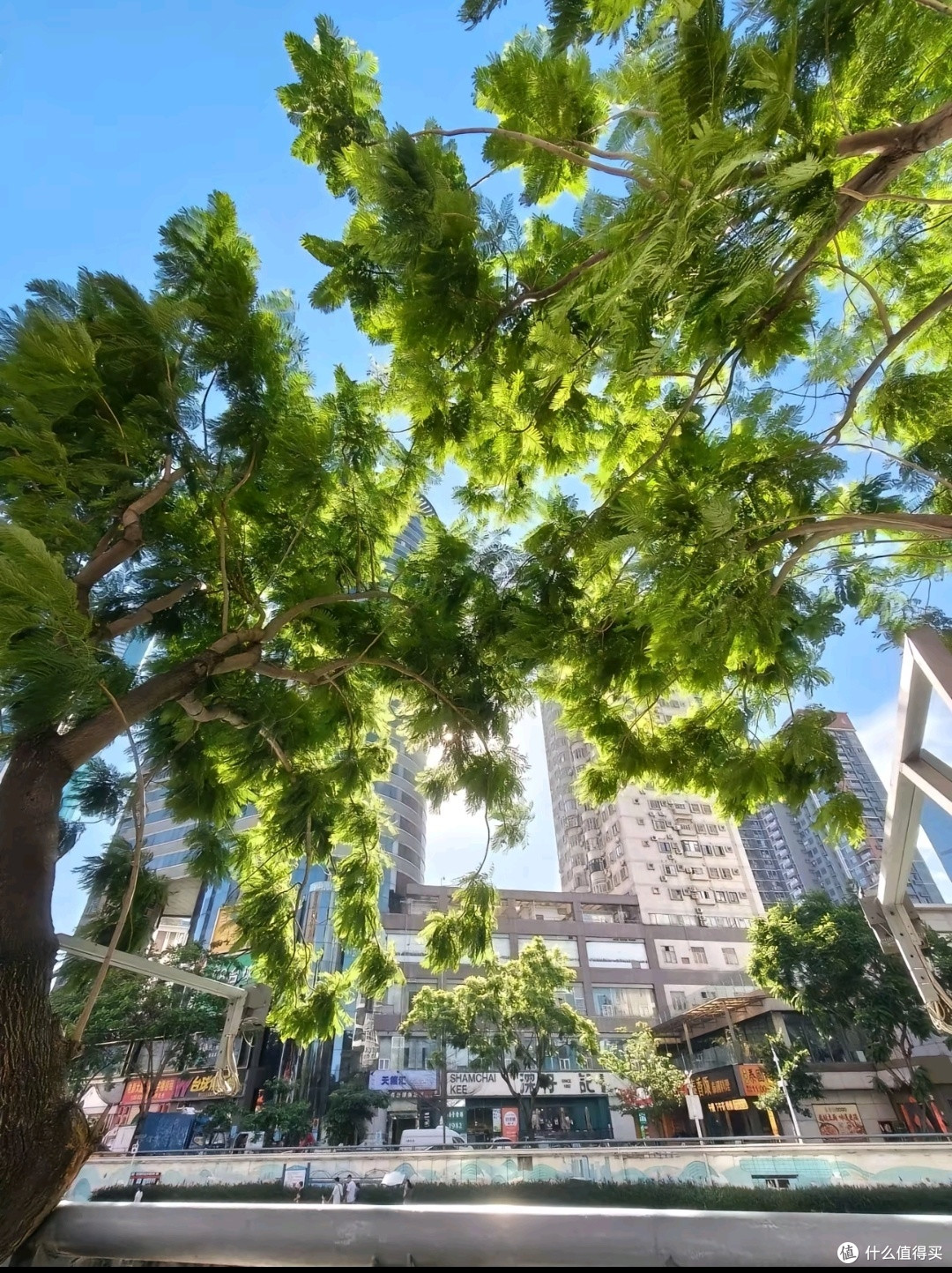 抬头遇见夏日的温柔