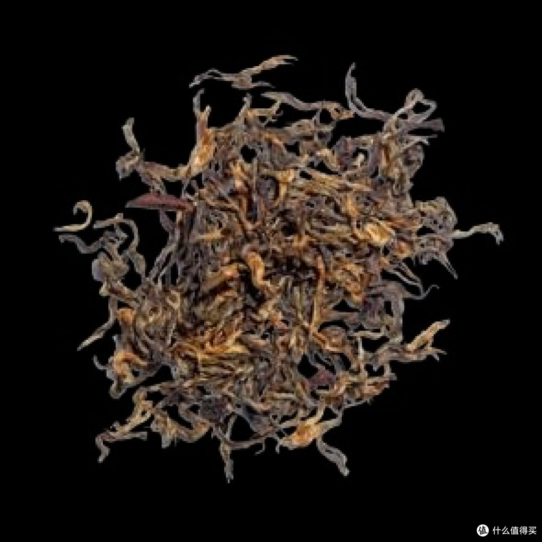 双酵焕光・亚洲肌本命 25-40 + 全龄抗 初 老,这瓶爽肤水精准适配