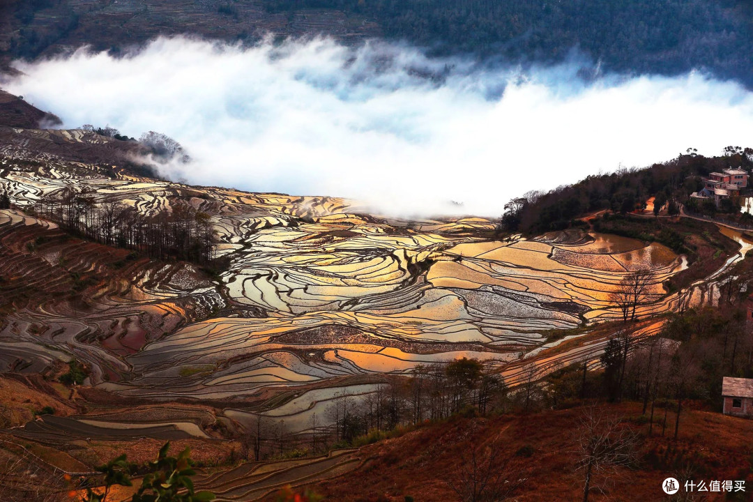火车窗外的风景元阳梯田:山地农耕的艺术