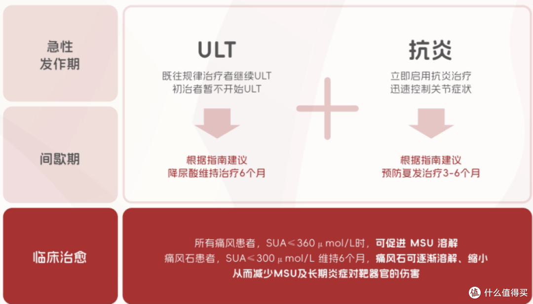 金蓓欣副作用解析：真的伤肝吗？一文说清安全性