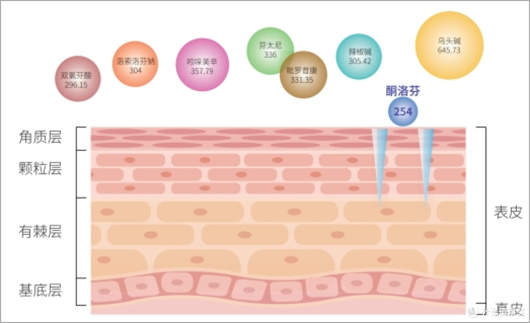 冰雪季想畅快滑又怕受伤?滑雪前必看的安全防护与伤痛处理