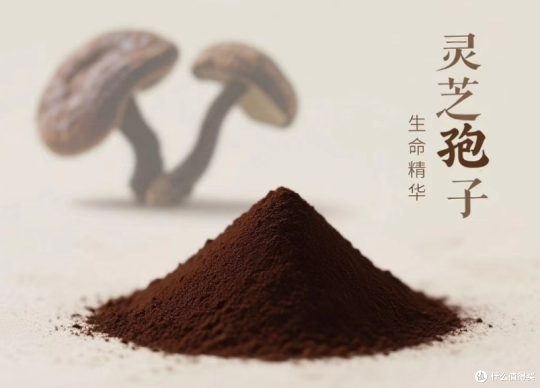 破壁灵芝孢子粉哪个牌子最好？2026全国十大爆款，解锁吸收关键！
