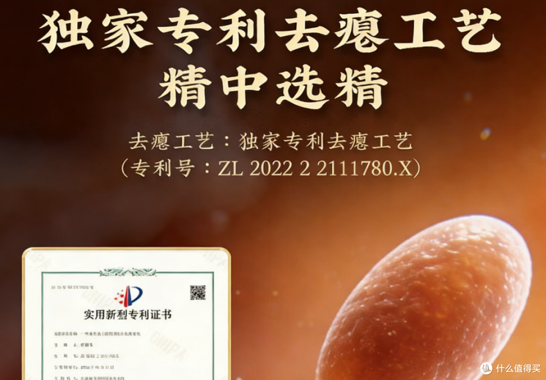破壁灵芝孢子粉哪个牌子最好？2026全国十大爆款，解锁吸收关键！