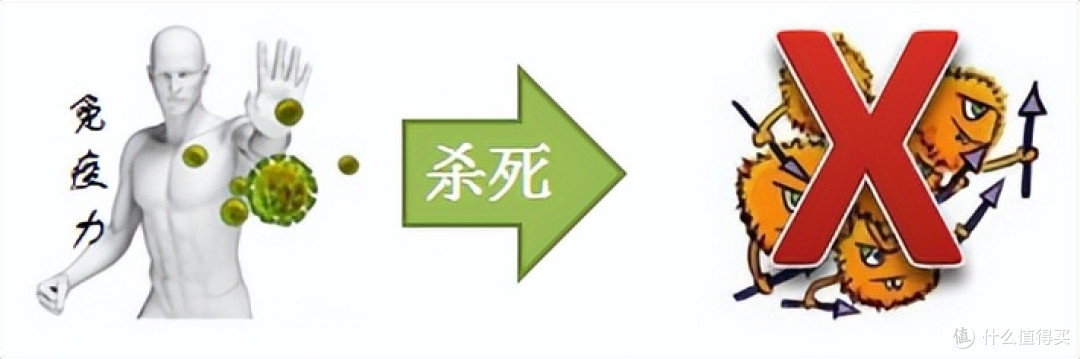 面对癌症,免疫系统为什么会失灵?