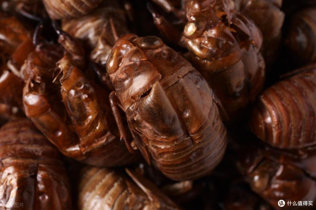 日本人又出幺蛾子了!评选中国最脏的5种食物,这里有你爱吃的吗