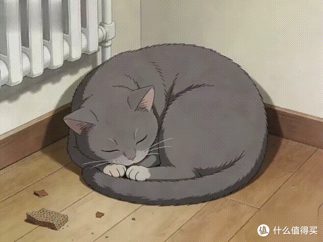 “缺爱”的猫咪,都用这些方式睡觉!