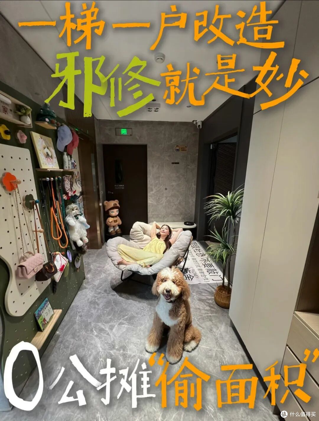 没有邻居，我搬进“一梯一户”半年，真后悔没有早点买，太幸福了