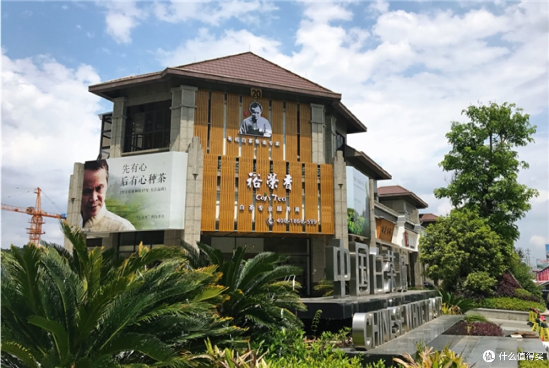 传承闽茶风骨——探访裕荣香的匠心之路