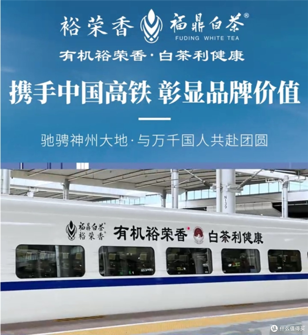 传承闽茶风骨——探访裕荣香的匠心之路