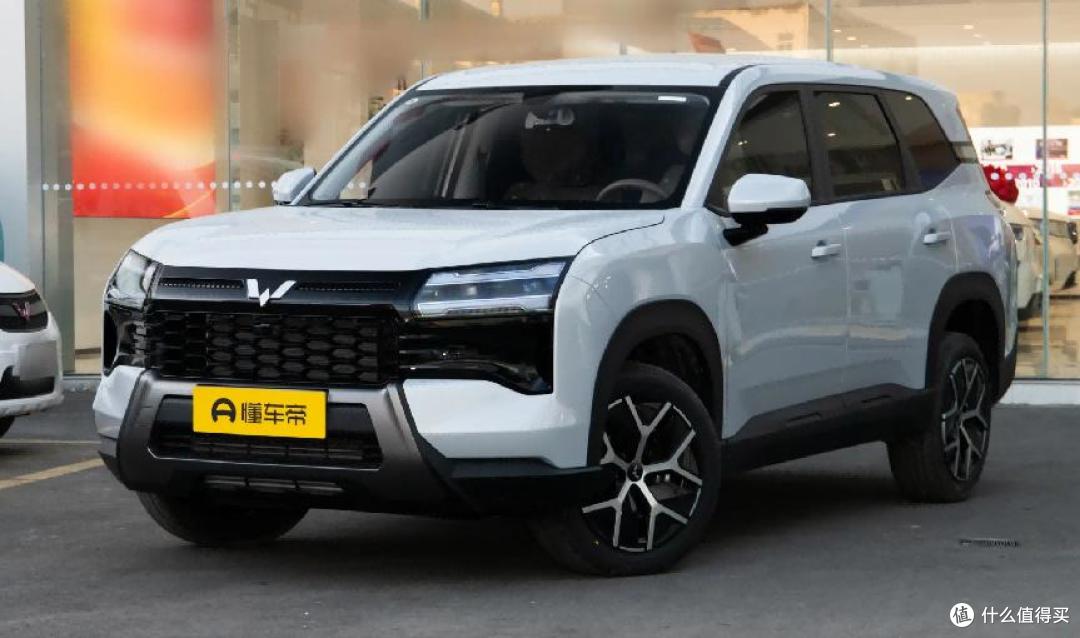 全能家用燃油SUV:星光560动力充沛空间大,售价极具竞争力