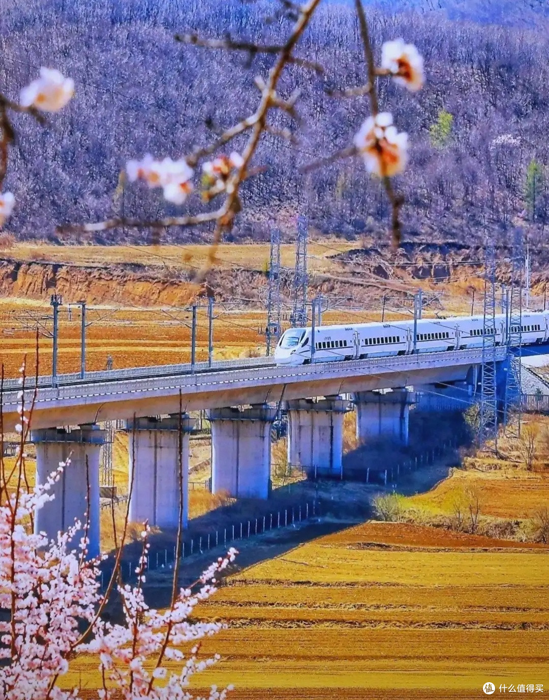 火车窗外的四季变换,春天花开、夏日绿意、秋日金黄与冬日的雪景