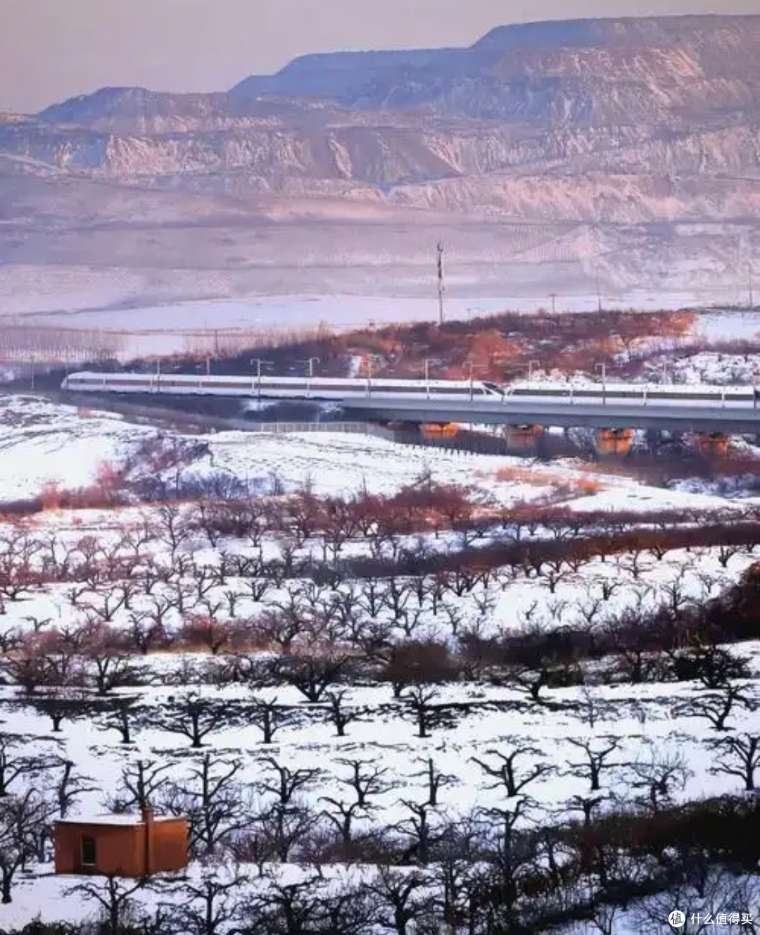 火车窗外的四季变换,春天花开、夏日绿意、秋日金黄与冬日的雪景