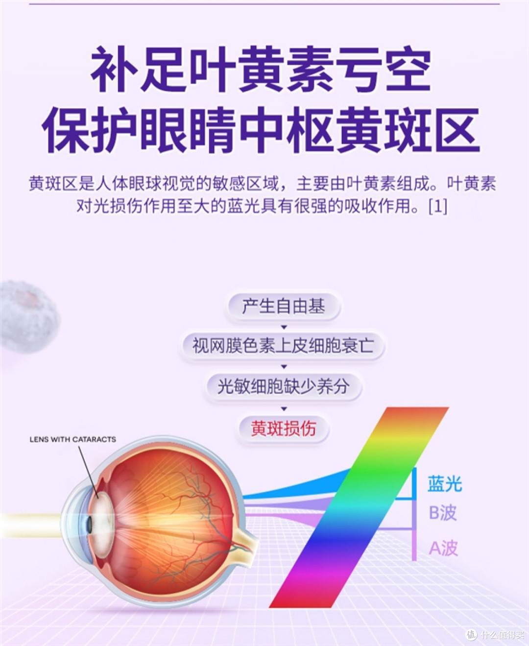 叶黄素排名前十的品牌有哪些?叶黄素十大品牌排行,前十硬核出炉
