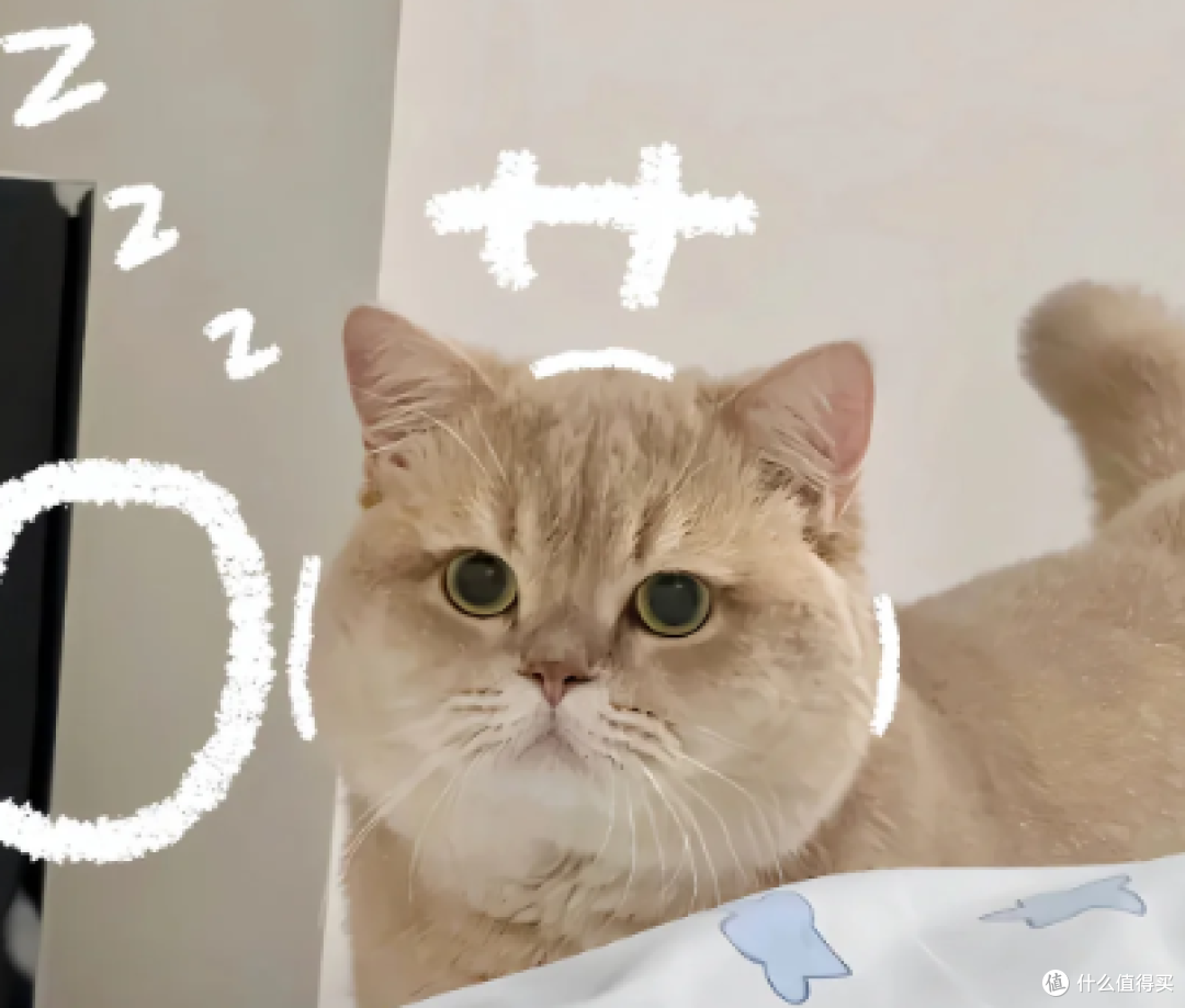 2026年1月国产烘焙猫粮排行榜 :10款平价长期吃不踩雷推荐