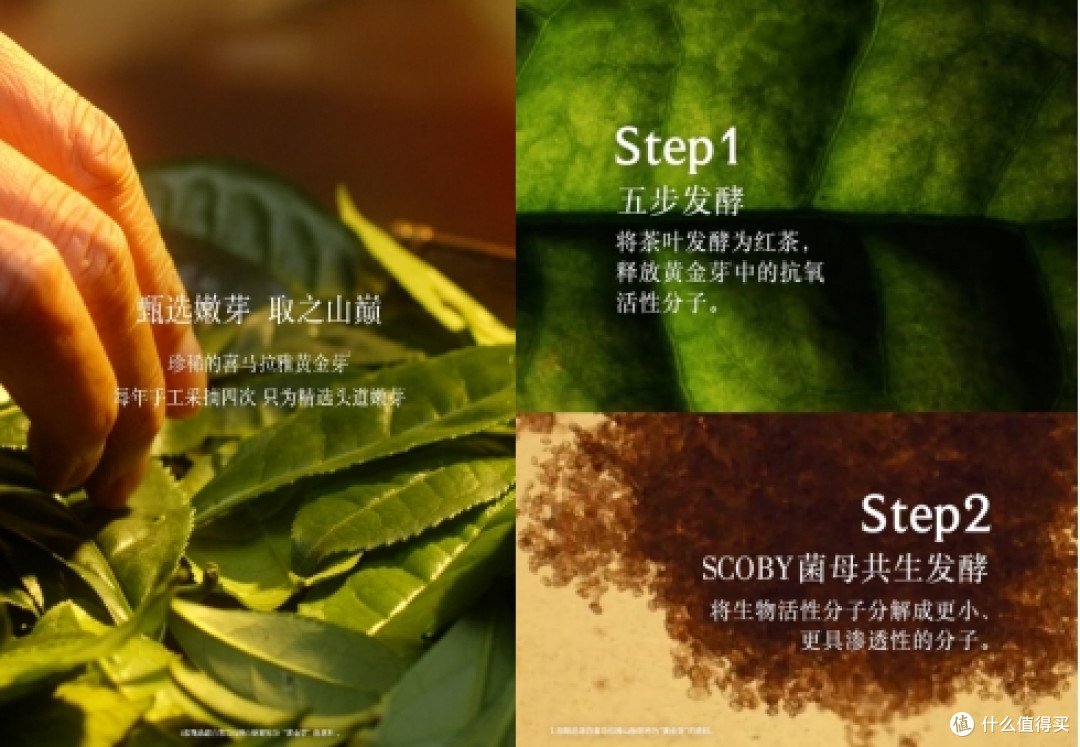 当您搜索“好用的爽肤水”时:关于fresh馥蕾诗红茶精华水的解答