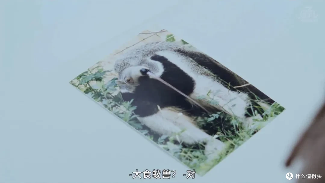 豆瓣9.4分!这部良心佳作,值得通宵去看