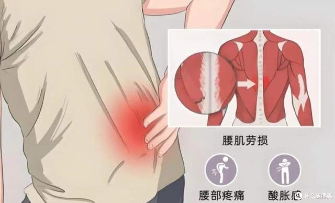 骨科医生分享:3个有效动作,针对性强化腰背缓解久坐酸痛
