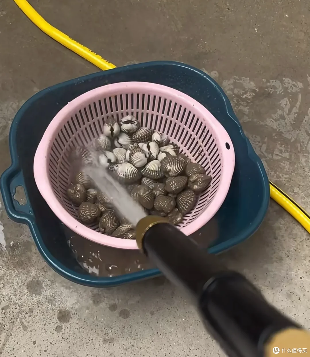 知道这些食材的正确洗法后:我有点小破防,费劲巴拉反而越洗越脏