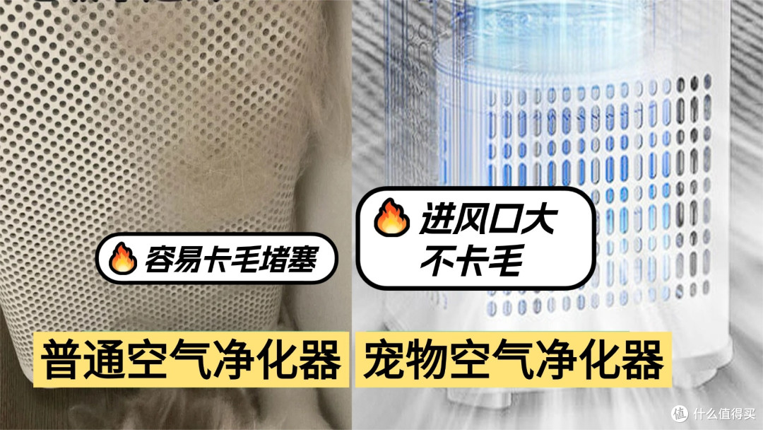 2026年宠物空气净化器哪个牌子好用?宠物空气净化器有必要买吗?