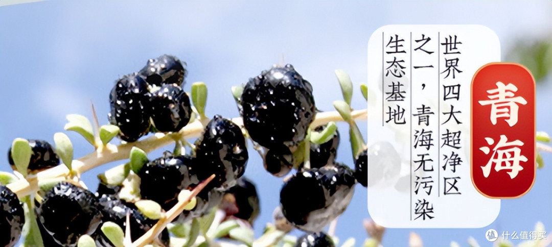 枸杞原浆哪个品牌质量好?中国最新十大宁夏中宁产地溯源名牌排行