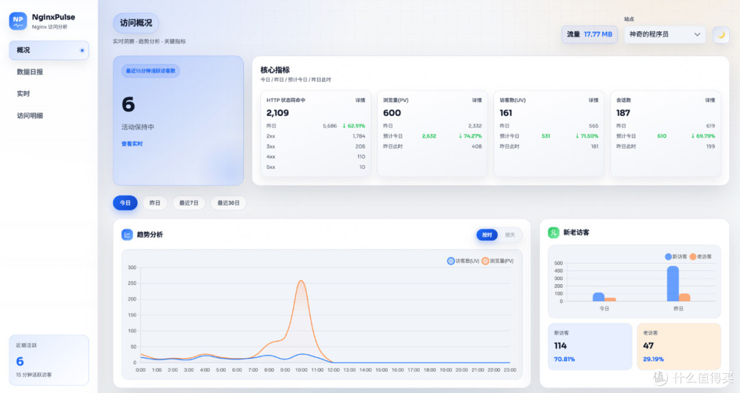 NginxPulse:个人开发者的流量监控利器?