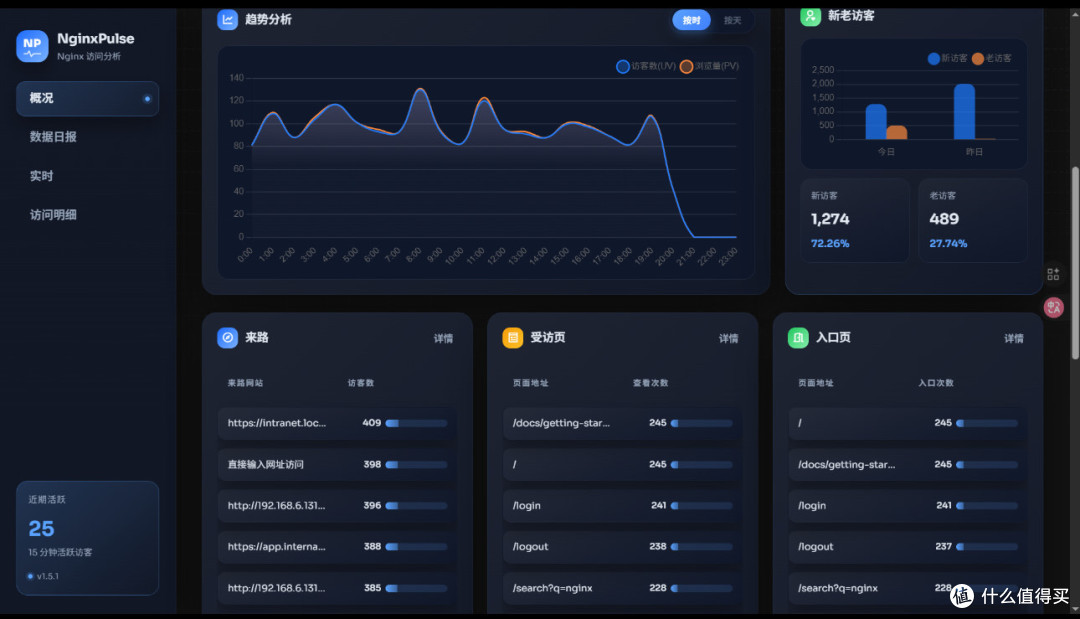 NginxPulse:个人开发者的流量监控利器?