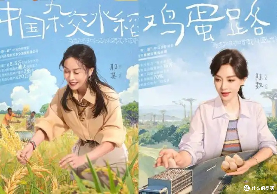 下饭综艺宝藏:《花儿与少年·同心季》的烟火旅途