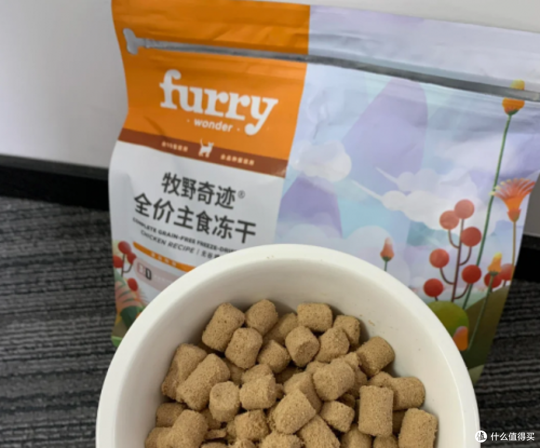 猫咪主食冻干怎么选?2026年1月5款高质量产品推荐