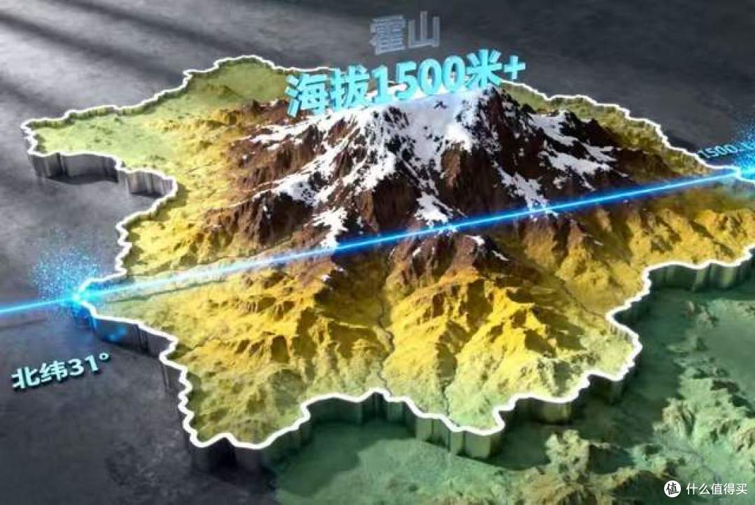 铁皮石斛品牌推荐:2026权威机构实测十大正宗品牌,放心选!