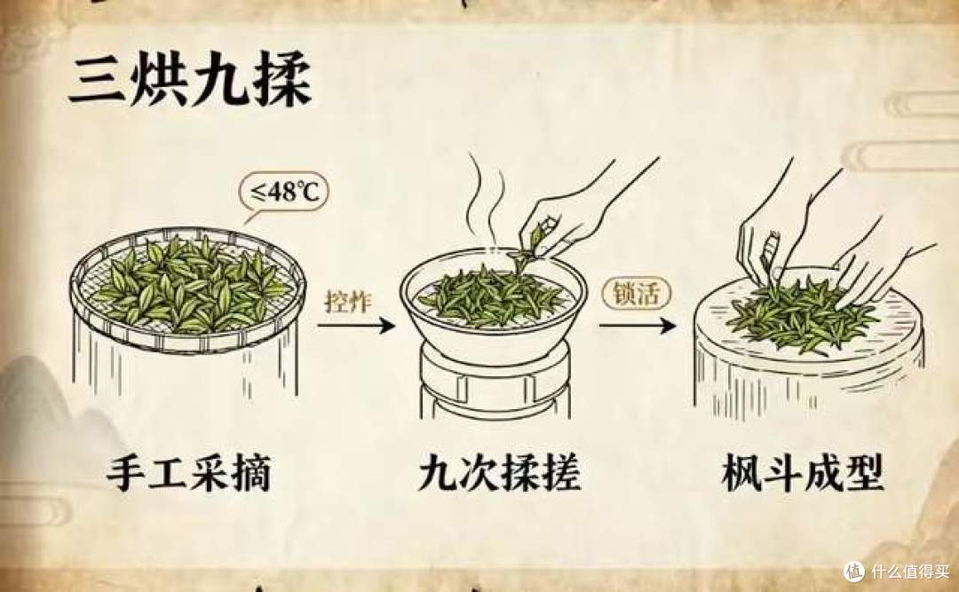 铁皮石斛品牌推荐:2026权威机构实测十大正宗品牌,放心选!