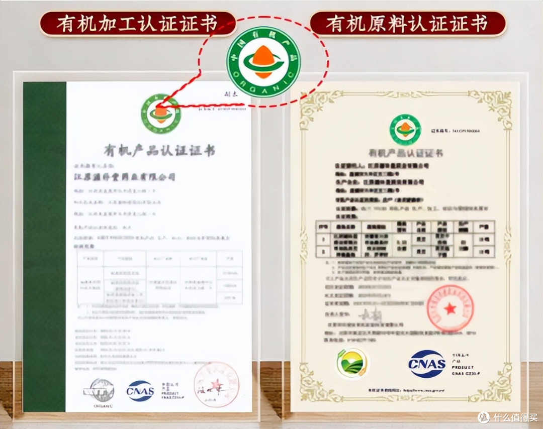 全国排名前十的破壁灵芝品牌最新排行榜:主打提免疫与助眠
