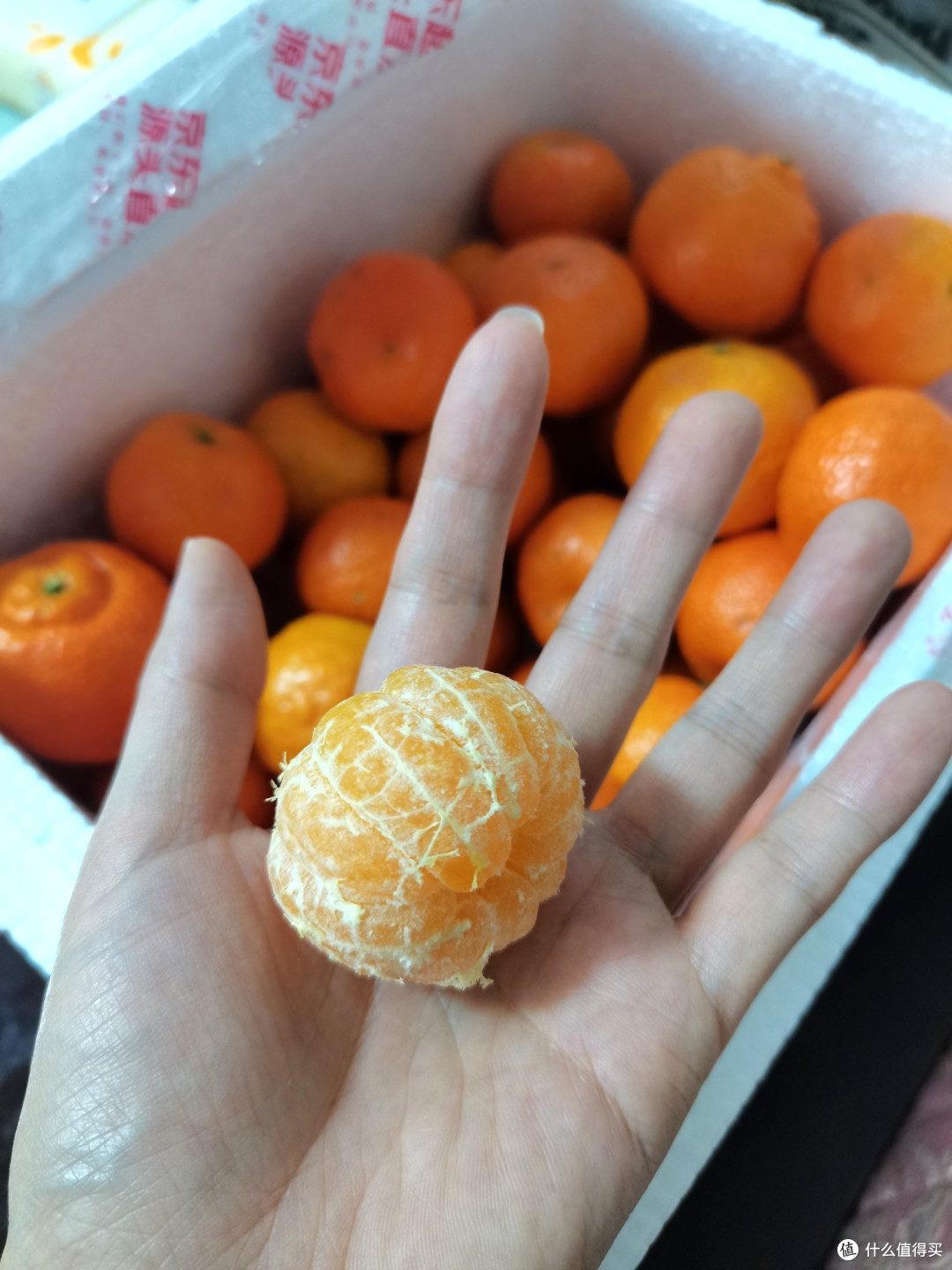 新年全民必囤的沙糖桔到货啦！