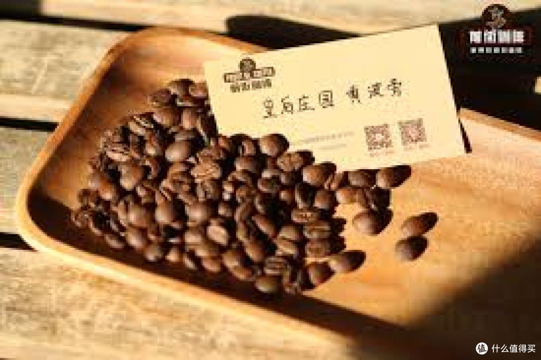 咖啡馆加价 10 元的 SOE 到底是什么3 款豆子让你实现咖啡自由。