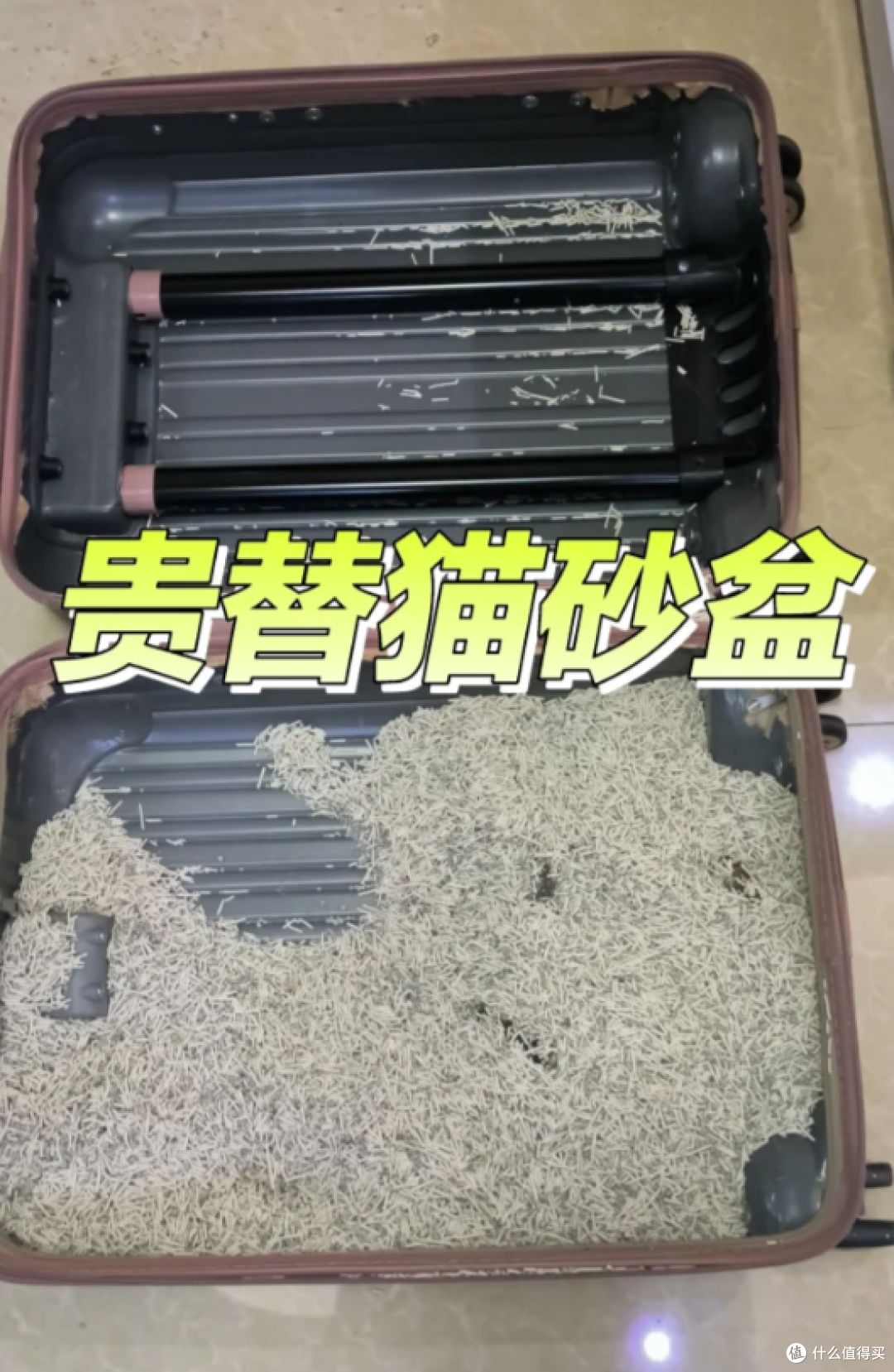 被年轻人的“行李箱用法”惊到了,换个思路,闲置行李箱派上用场