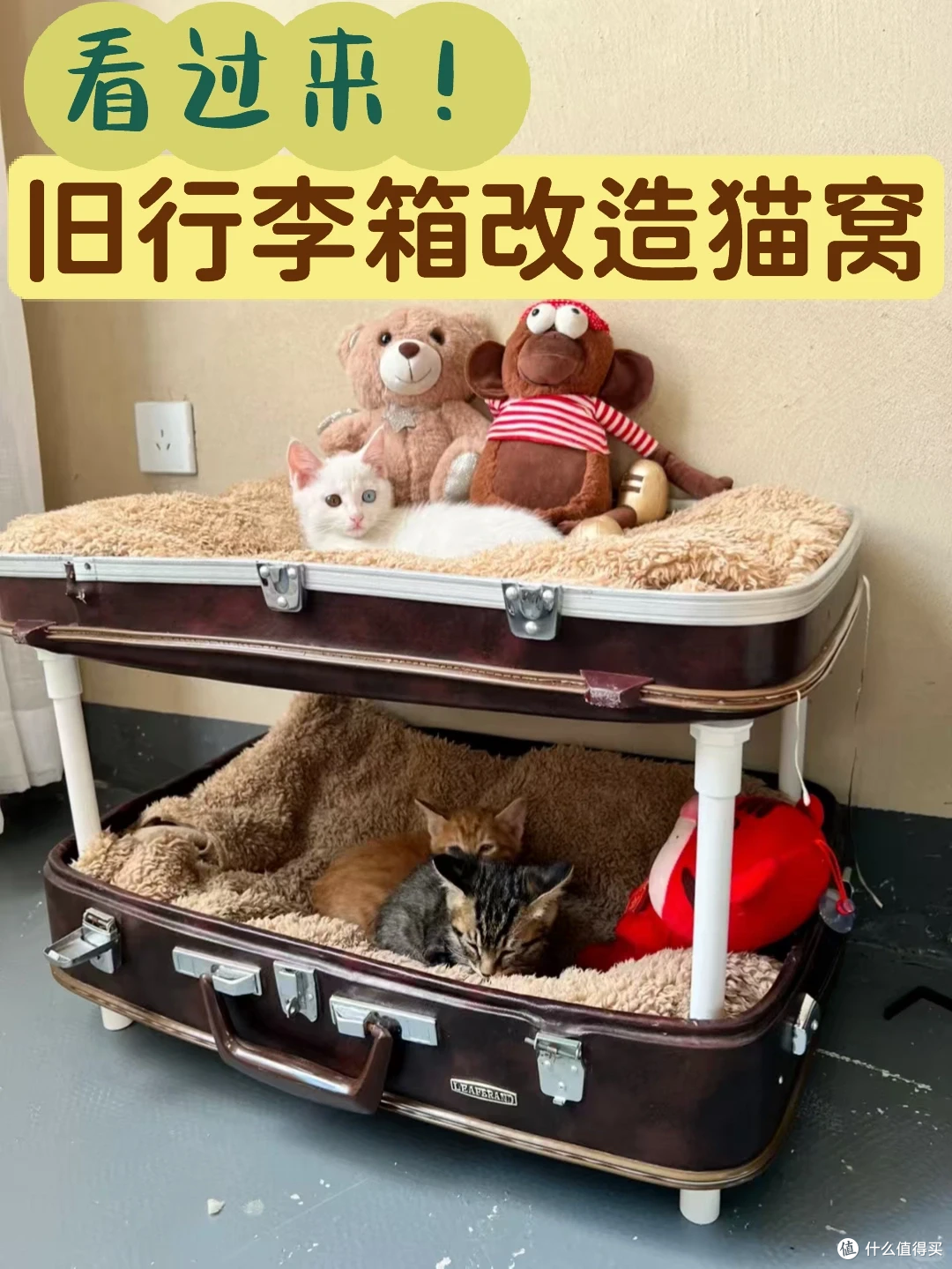 被年轻人的“行李箱用法”惊到了,换个思路,闲置行李箱派上用场
