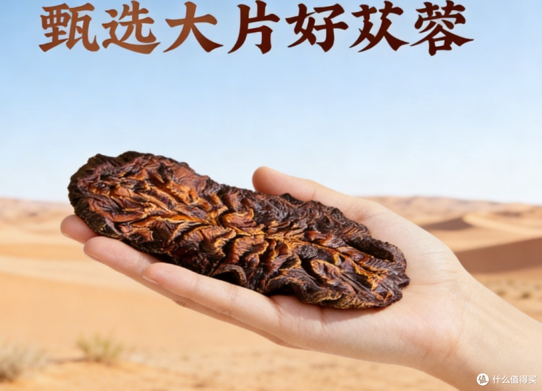 2026肉苁蓉十大品牌排行榜全新盘点:高含量补肾滋补品选购指南