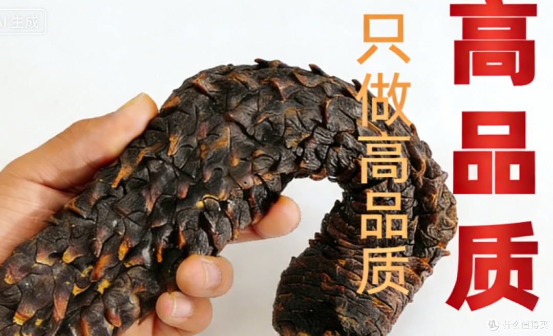 2026肉苁蓉十大品牌排行榜全新盘点:高含量补肾滋补品选购指南