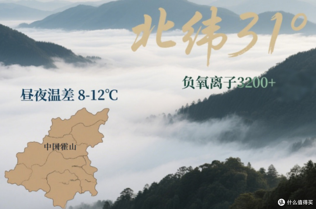 铁皮石斛哪家好?2026 中国十大正宗品牌综合实力排名榜最新解析